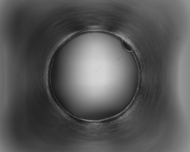 X0000088091333200705251421