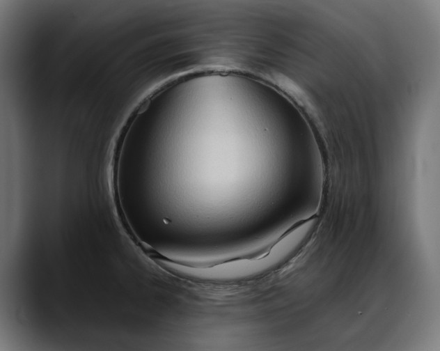 X0000088091334200705251421