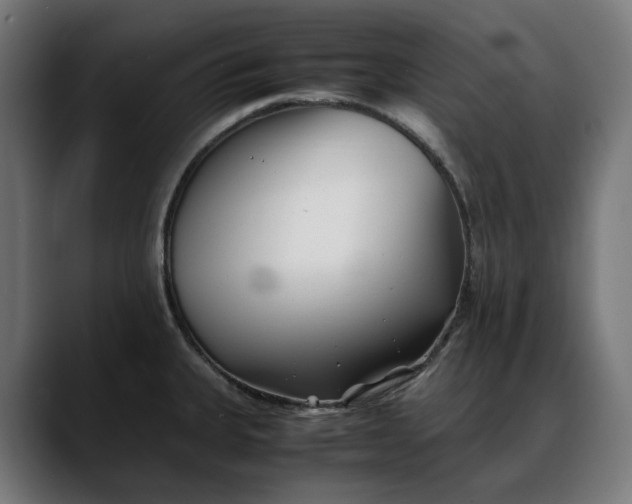 X0000088091335200705251421