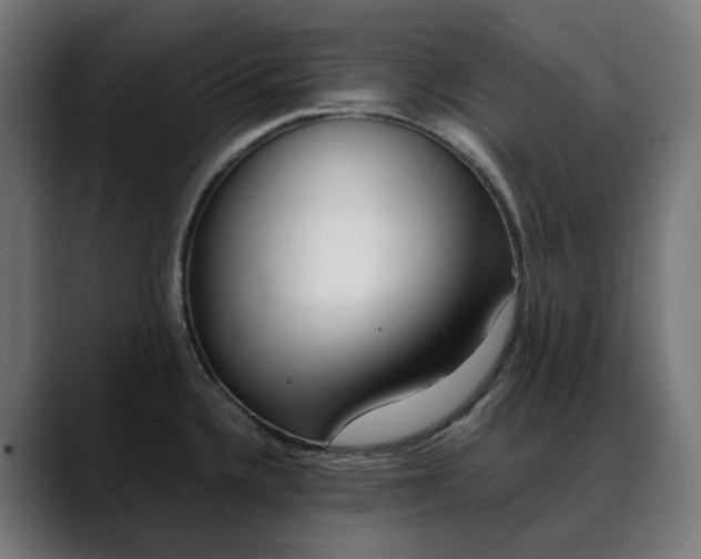 X0000088091336200705251421