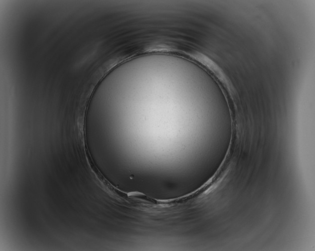 X0000088091337200705251421