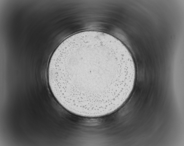 X0000088091338200705251421