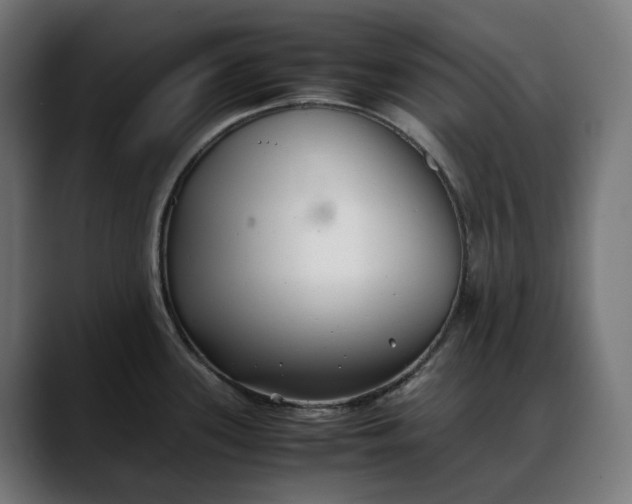 X0000088091339200705251421