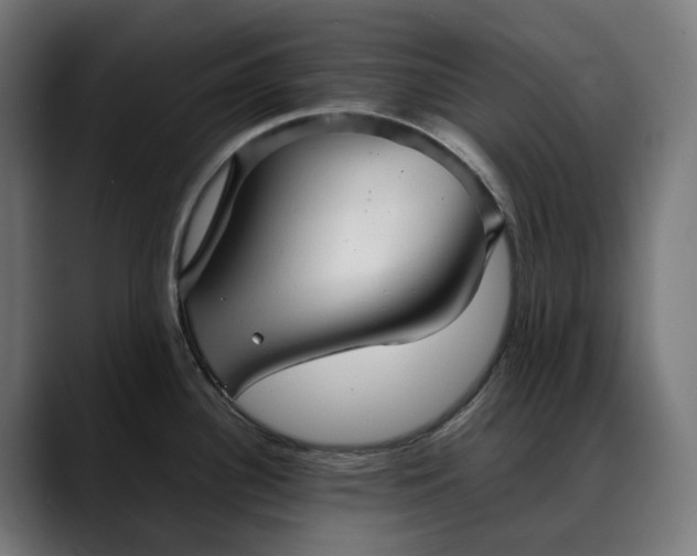 X0000088091340200705251421