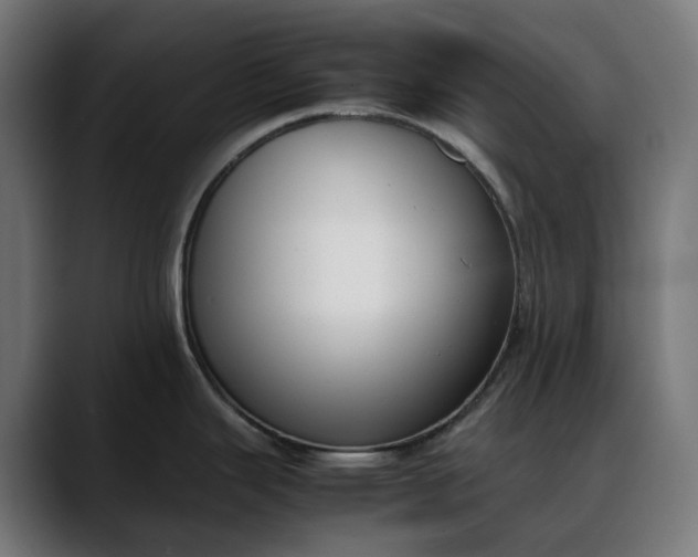 X0000088091343200705251421