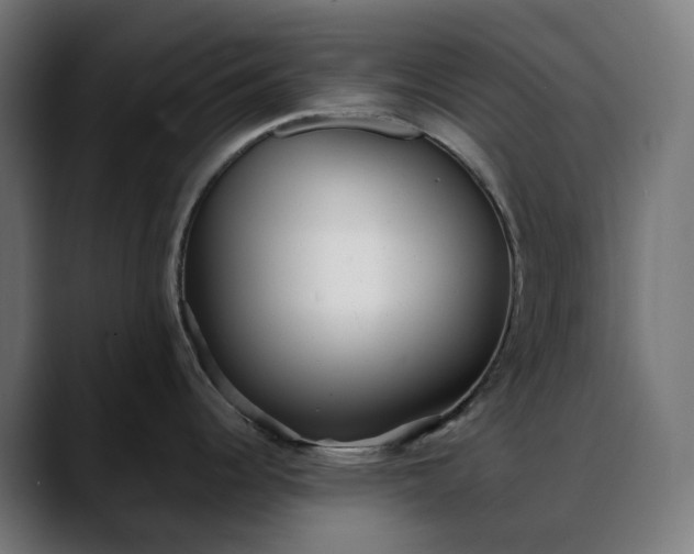 X0000088091344200705251421