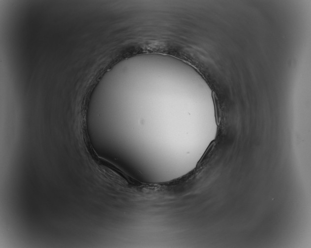 X0000088091345200705251420