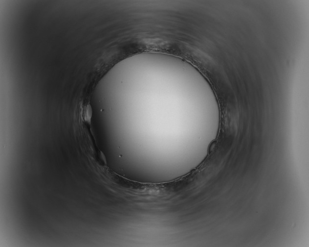 X0000088091346200705251420