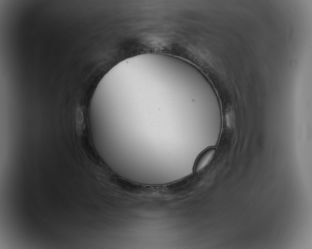 X0000088091347200705251420