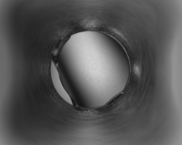 X0000088091348200705251420