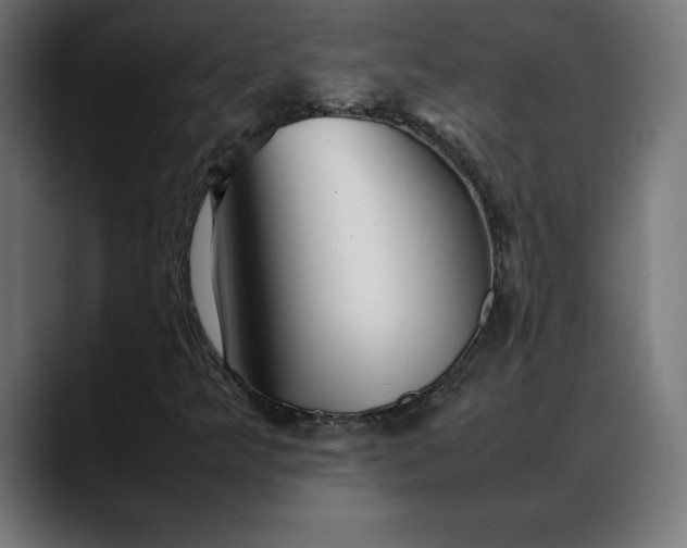 X0000088091349200705251420