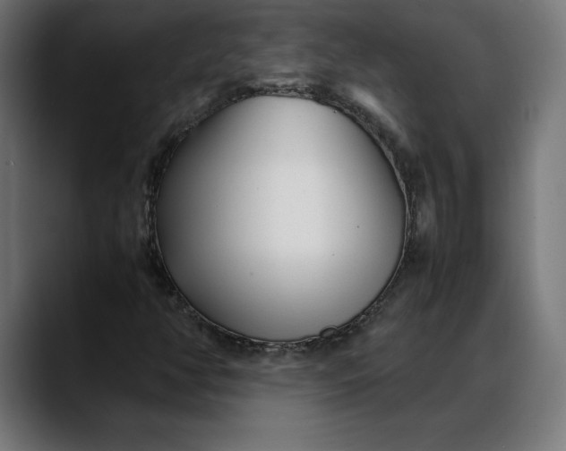 X0000088091350200705251420