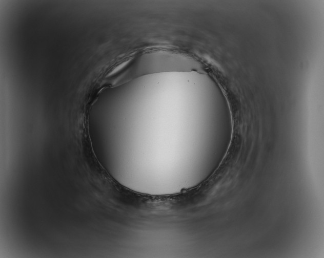 X0000088091351200705251420