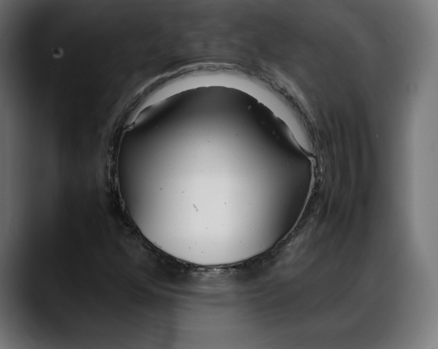 X0000088091352200705251420