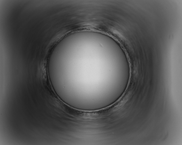 X0000088091354200705251420