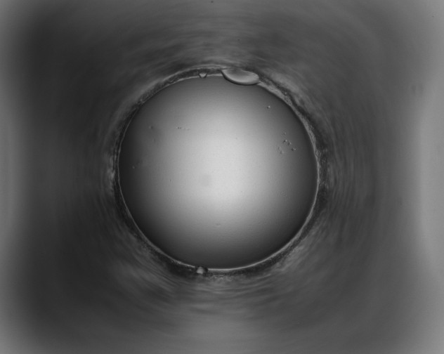 X0000088091355200705251420