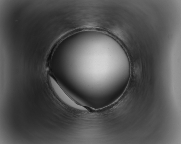 X0000088091356200705251420