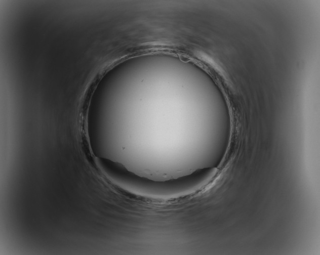 X0000088091357200705251420