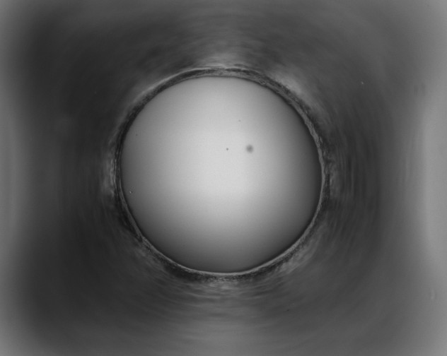 X0000088091358200705251420