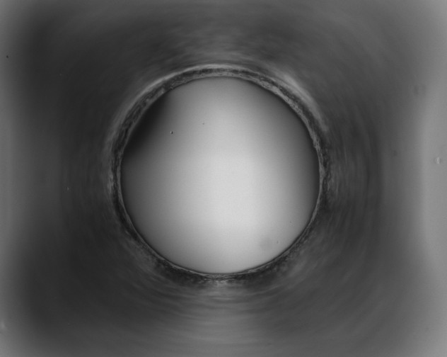 X0000088091360200705251420