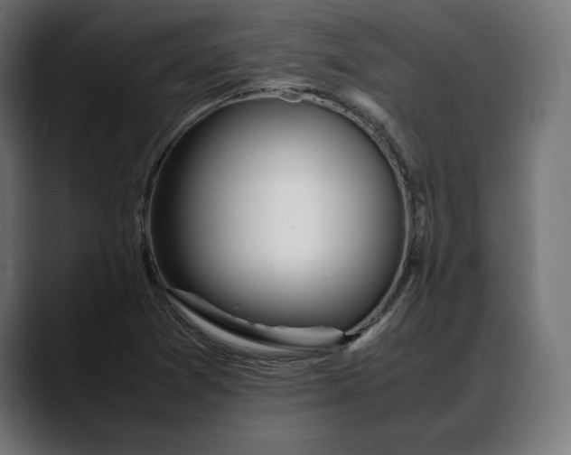 X0000088091361200705251420