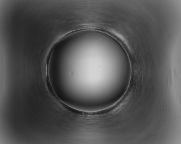 X0000088091365200705251420