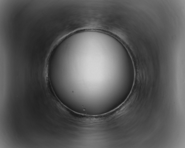 X0000088091366200705251420