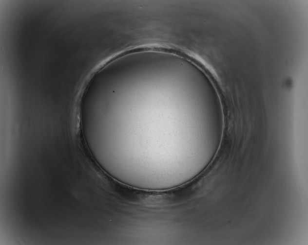 X0000088091367200705251420