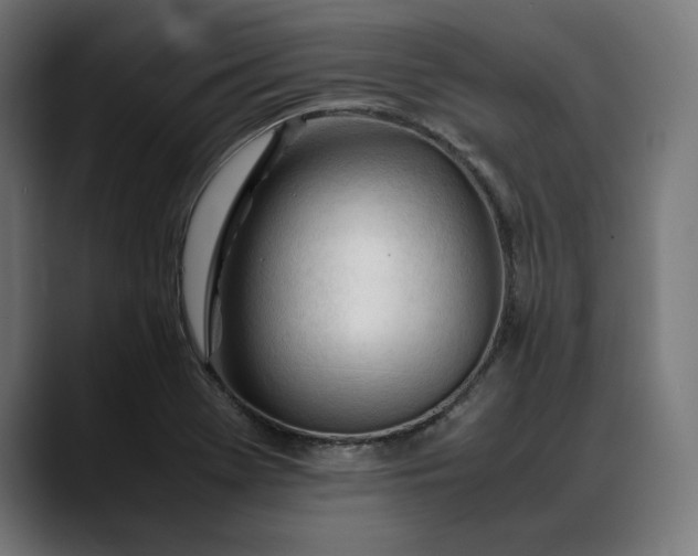 X0000088091369200705251420