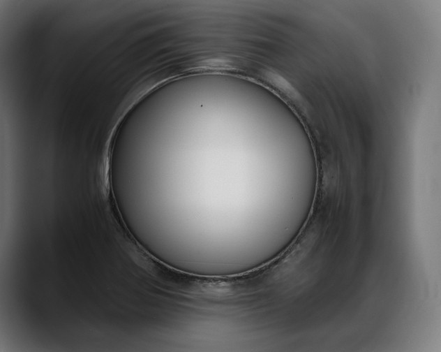 X0000088091370200705251420