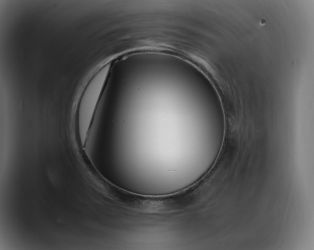 X0000088091371200705251420