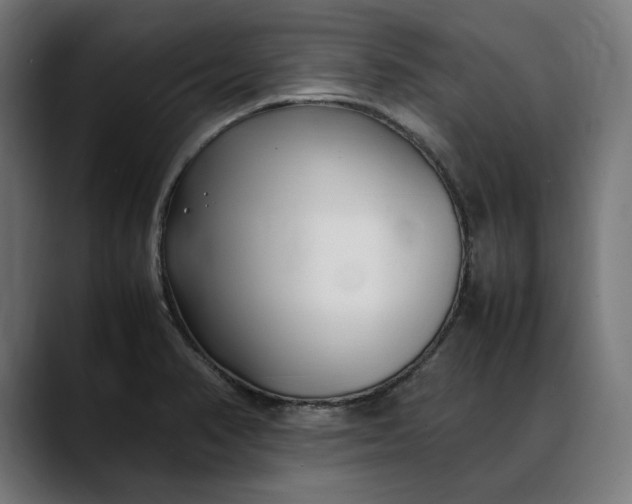 X0000088091374200705251420