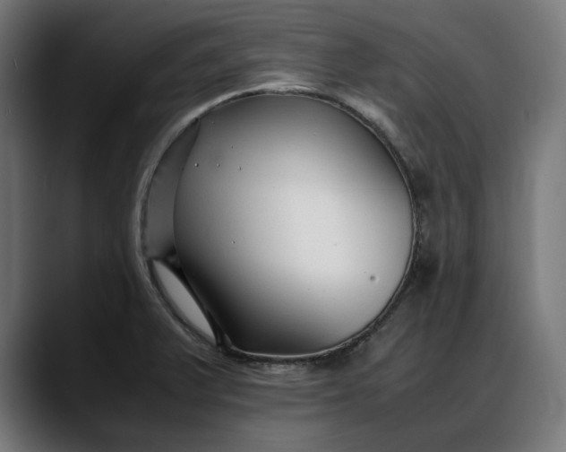 X0000088091375200705251420