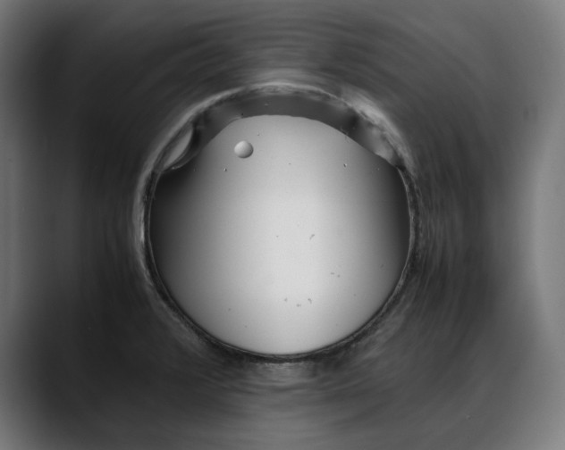 X0000088091376200705251420