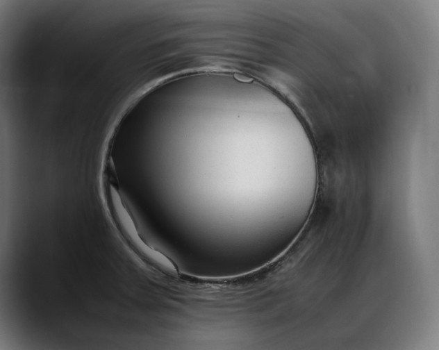 X0000088091379200705251420