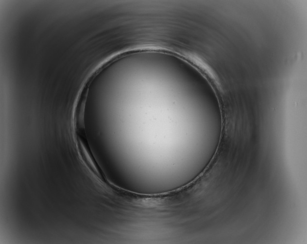 X0000088091380200705251420