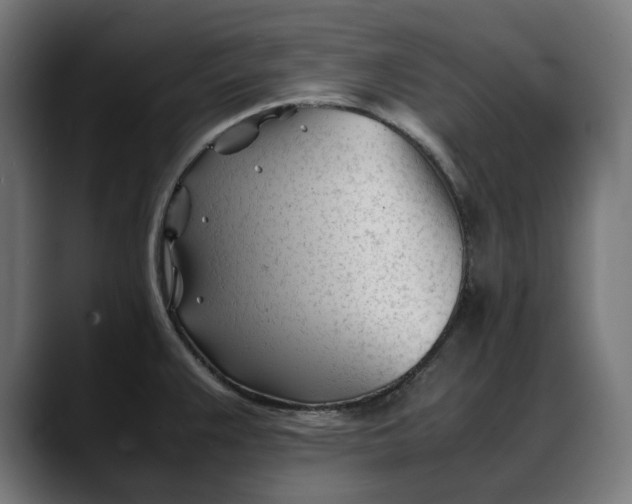 X0000088091383200705251420