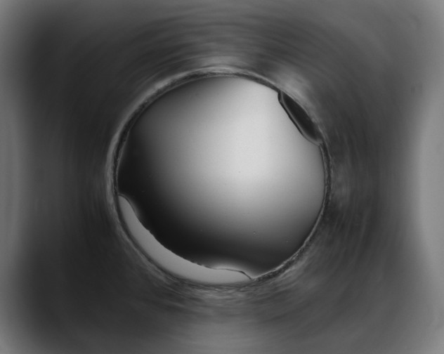 X0000088091384200705251420