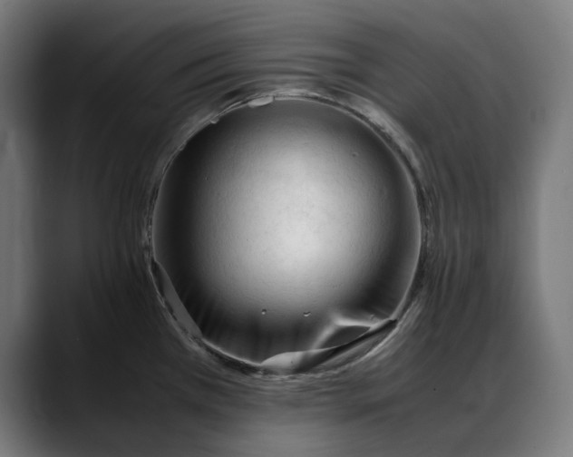 X0000088091385200705251420