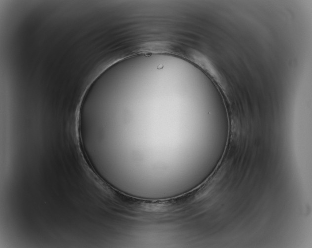 X0000088091386200705251419