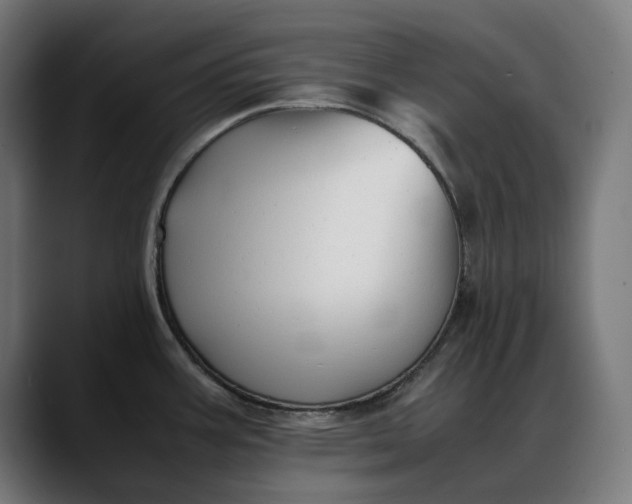 X0000088091387200705251419