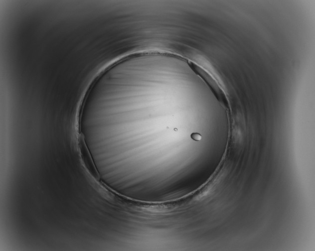 X0000088091388200705251419