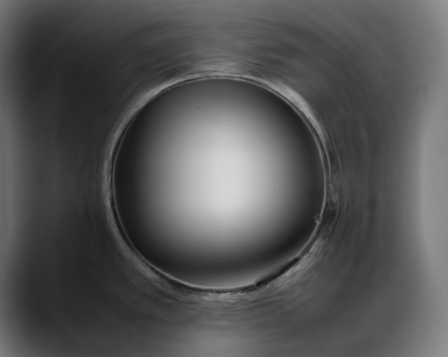 X0000088091389200705251419