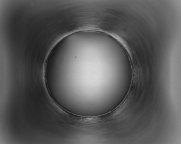 X0000088091390200705251419