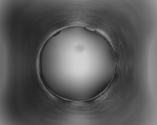 X0000088091391200705251419