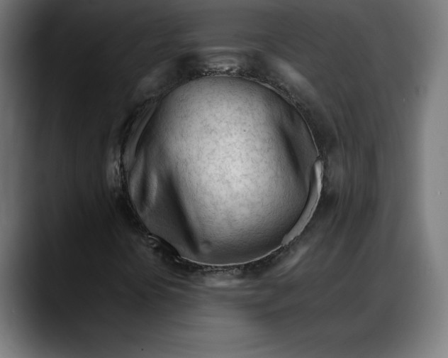 X0000088091394200705251419