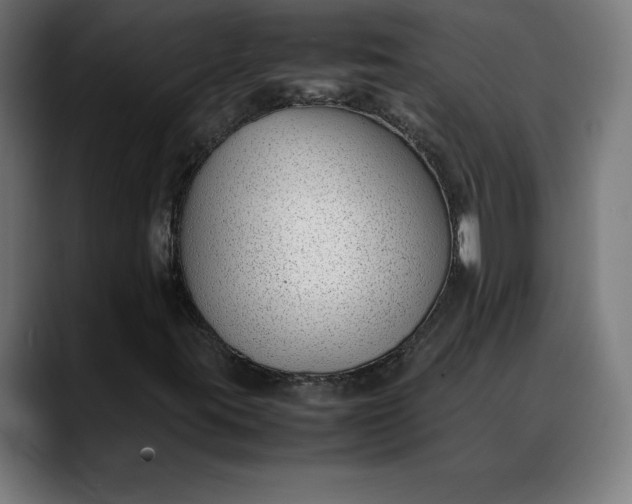 X0000088091395200705251419