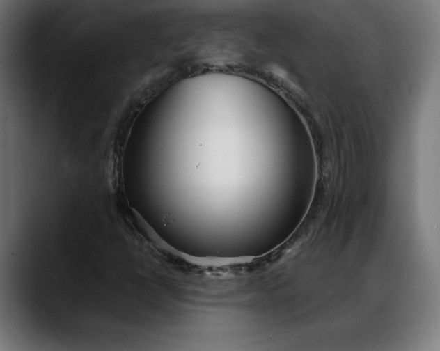 X0000088091398200705251419