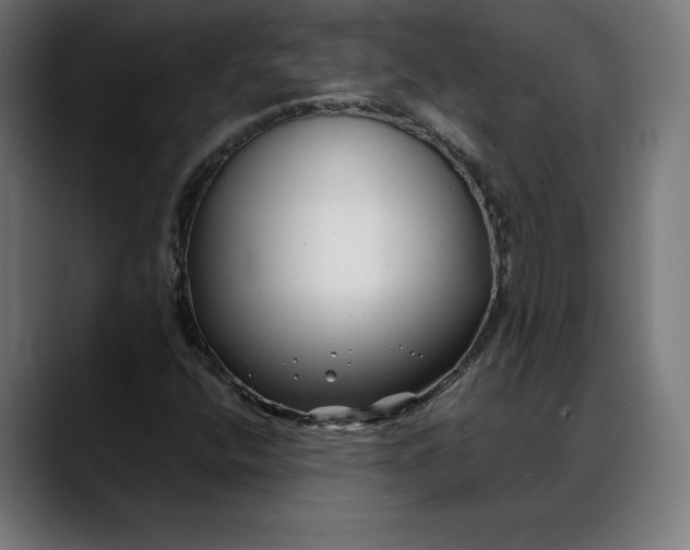 X0000088091400200705251419