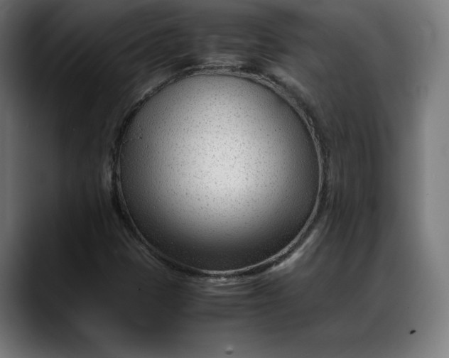 X0000088091401200705251419